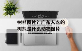 树熊图片？广东人吃的树熊是什么动物图片