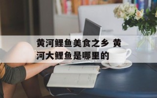 黄河鲤鱼美食之乡 黄河大鲤鱼是哪里的