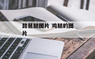 琵琶腿图片 鸡腿的图片