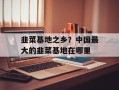 韭菜基地之乡？中国最大的韭菜基地在哪里