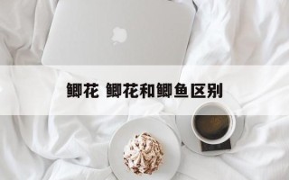 鲫花 鲫花和鲫鱼区别