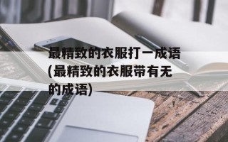 最精致的衣服打一成语(最精致的衣服带有无的成语)