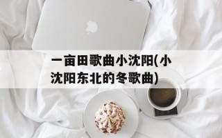 一亩田歌曲小沈阳(小沈阳东北的冬歌曲)
