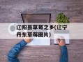 辽阳县草莓之乡(辽宁丹东草莓图片)