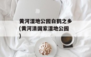 黄河湿地公园白鹤之乡(黄河清国家湿地公园)