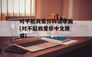 对不起我爱你韩语歌曲(对不起我爱你中文原唱)