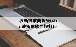 波斯猫歌曲视频(she波斯猫歌曲视频)