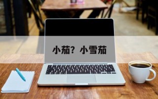 小茄？小雪茄