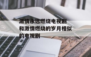 激情永远燃烧电视剧 和激情燃烧的岁月相似的电视剧