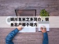 银川鱼米之乡简介，银鱼出产哪个地方