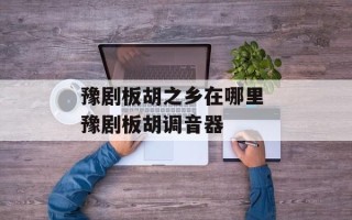 豫剧板胡之乡在哪里 豫剧板胡调音器