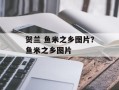 贺兰 鱼米之乡图片？鱼米之乡图片