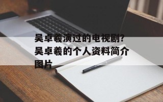 吴卓羲演过的电视剧？吴卓羲的个人资料简介图片