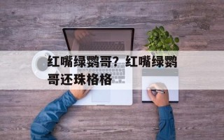 红嘴绿鹦哥？红嘴绿鹦哥还珠格格