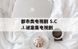 都市类电视剧 S.C.I.谜案集电视剧