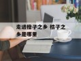 走进橙子之乡 桔子之乡是哪里
