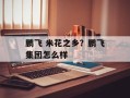 鹏飞 米花之乡？鹏飞集团怎么样
