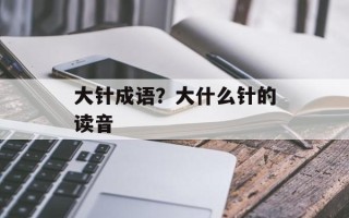大针成语？大什么针的读音