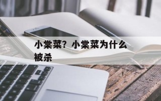 小棠菜？小棠菜为什么被杀