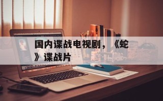 国内谍战电视剧，《蛇》谍战片