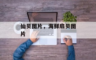 仙贝图片，海鲜扇贝图片
