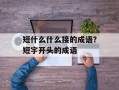 短什么什么接的成语？短字开头的成语