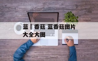 蓝廋香菇 蓝香菇图片大全大图