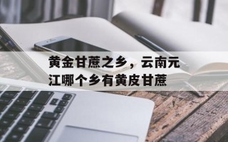 黄金甘蔗之乡，云南元江哪个乡有黄皮甘蔗