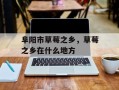 阜阳市草莓之乡，草莓之乡在什么地方
