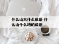 什么山大什么成语 什么山什么地的成语
