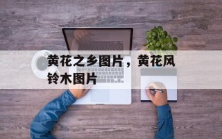 黄花之乡图片，黄花风铃木图片