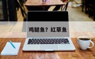 鸡腿鱼？红草鱼