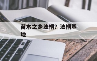 苗木之乡法桐？法桐基地