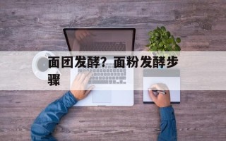 面团发酵？面粉发酵步骤
