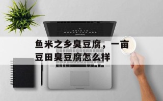 鱼米之乡臭豆腐，一亩豆田臭豆腐怎么样