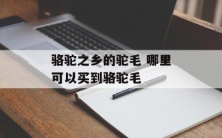 骆驼之乡的驼毛 哪里可以买到骆驼毛