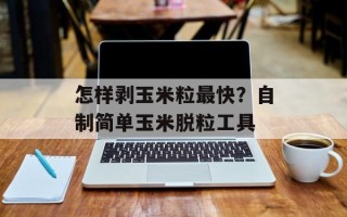 怎样剥玉米粒最快？自制简单玉米脱粒工具
