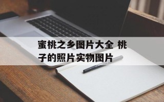 蜜桃之乡图片大全 桃子的照片实物图片