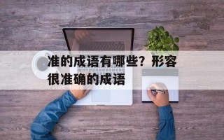 准的成语有哪些？形容很准确的成语