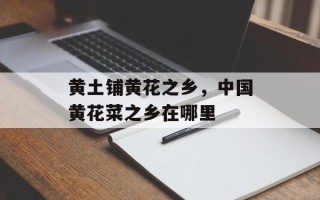 黄土铺黄花之乡，中国黄花菜之乡在哪里