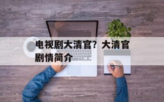 电视剧大清官？大清官剧情简介