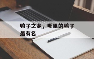鸭子之乡，哪里的鸭子最有名