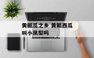 黄瓤瓜之乡 黄瓤西瓜叫小凤梨吗