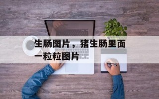 生肠图片，猪生肠里面一粒粒图片