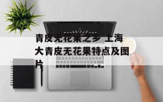 青皮无花果之乡 上海大青皮无花果特点及图片