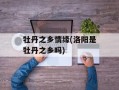 牡丹之乡情缘(洛阳是牡丹之乡吗)