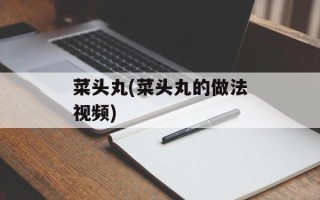 菜头丸(菜头丸的做法视频)