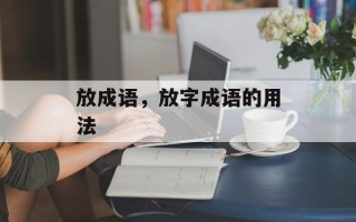 放成语，放字成语的用法