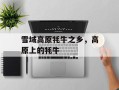 雪域高原牦牛之乡，高原上的牦牛