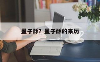 墨子酥？墨子酥的来历